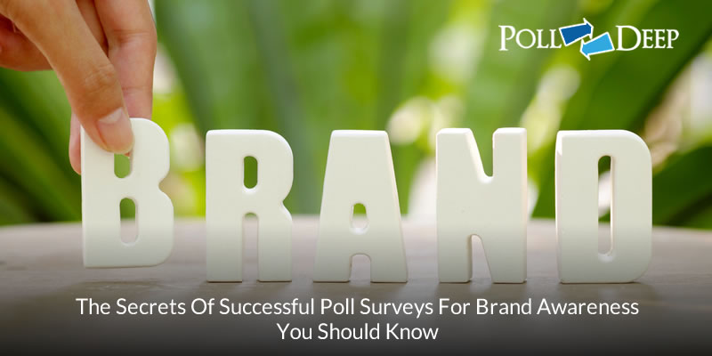 The Secrets of Successful Poll Surveys For Brand Awareness You Should Know